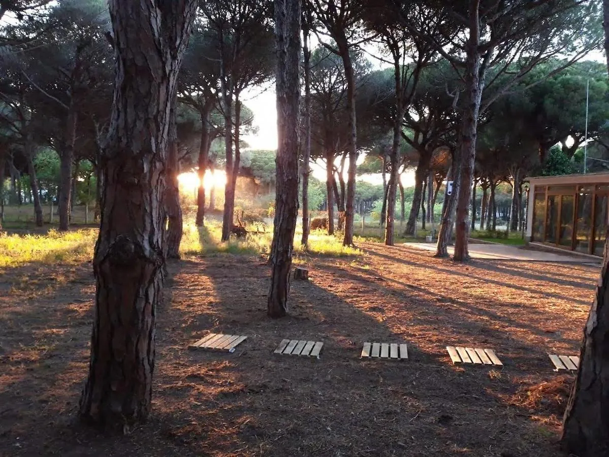 Holiday home The Pineforest Cabin Chiclana de la Frontera