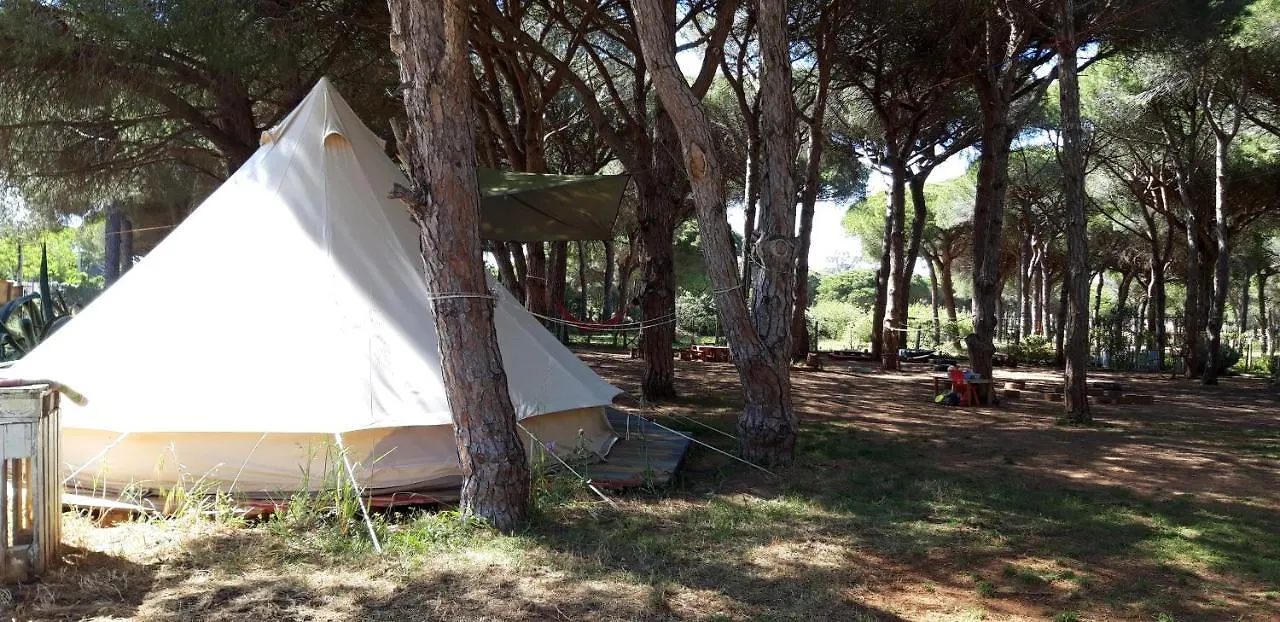 The Pineforest Cabin Chiclana de la Frontera 0*,  Spain