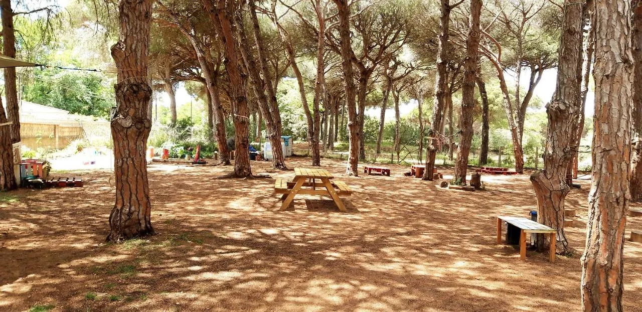 Holiday home The Pineforest Cabin Chiclana de la Frontera Spain