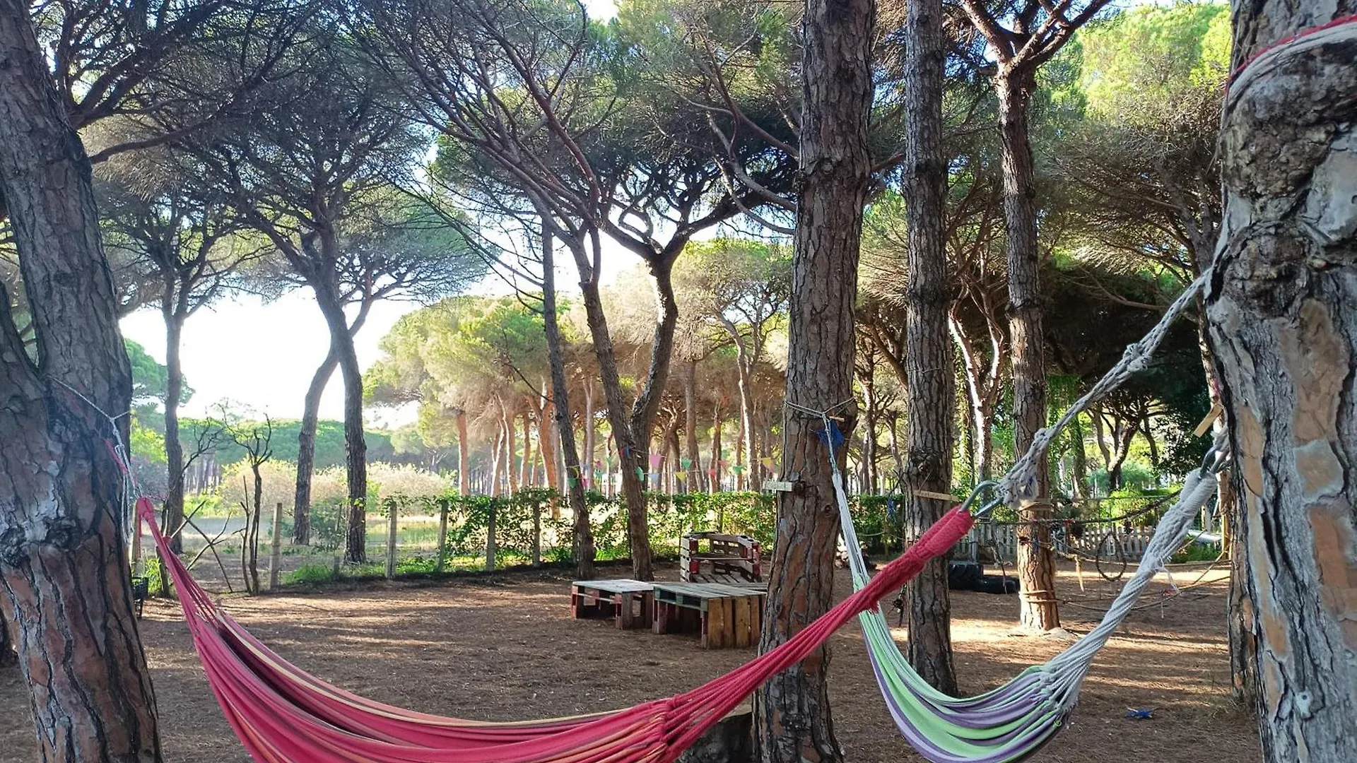 The Pineforest Cabin Chiclana de la Frontera Spain