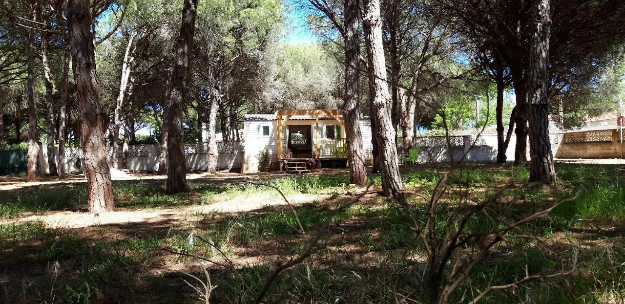 The Pineforest Cabin Chiclana de la Frontera